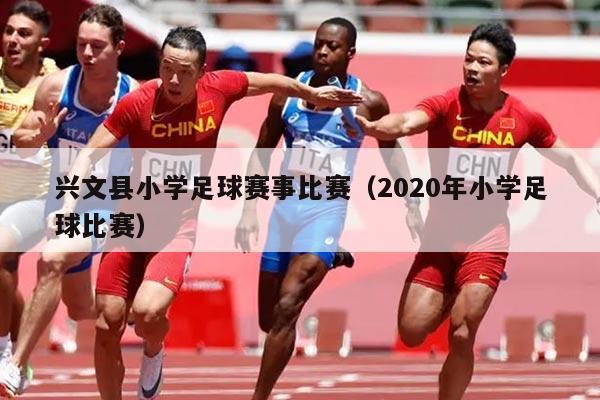 兴文县小学足球赛事比赛(2020年小学足球比赛)
