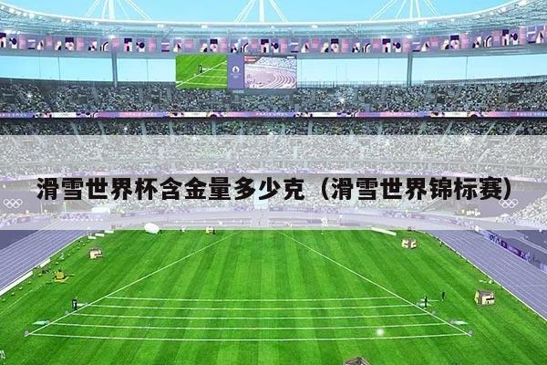 滑雪世界杯含金量多少克（滑雪世界锦标赛）