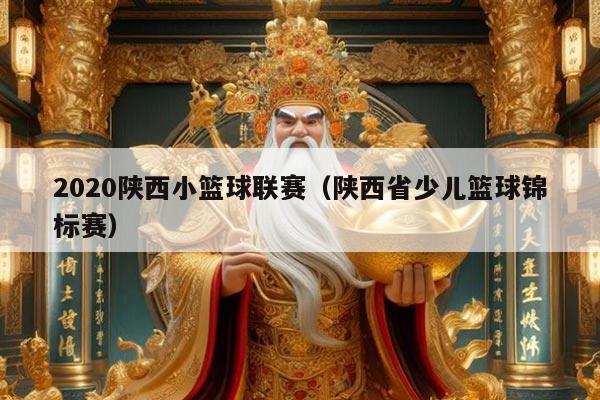 2020陕西小篮球联赛（陕西省少儿篮球锦标赛）