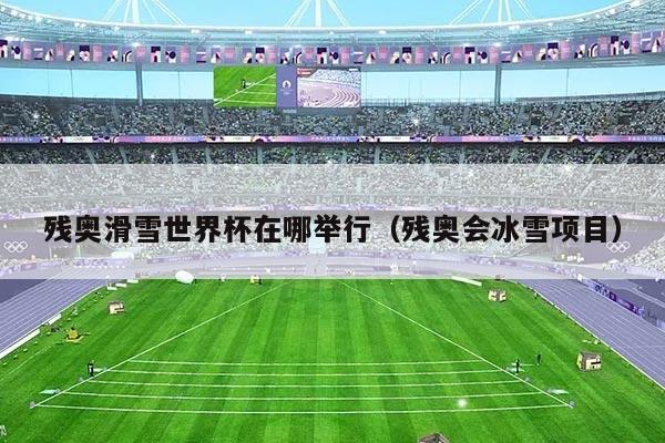 残奥滑雪世界杯在哪举行（残奥会冰雪项目）