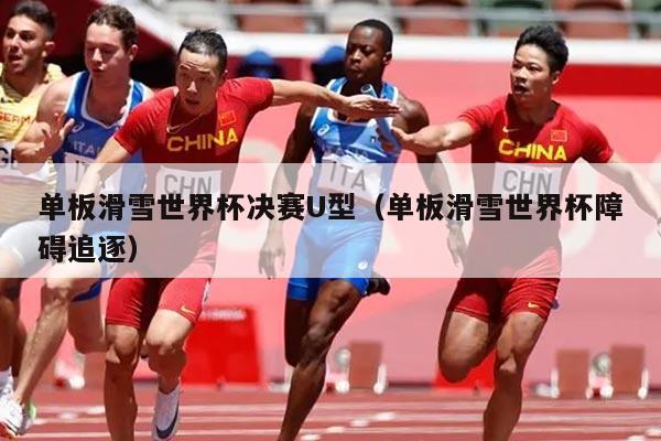 单板滑雪世界杯决赛U型（单板滑雪世界杯障碍追逐）