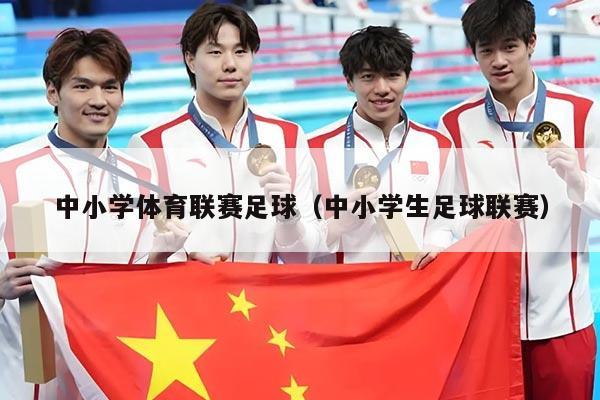 中小学体育联赛足球(中小学生足球联赛)