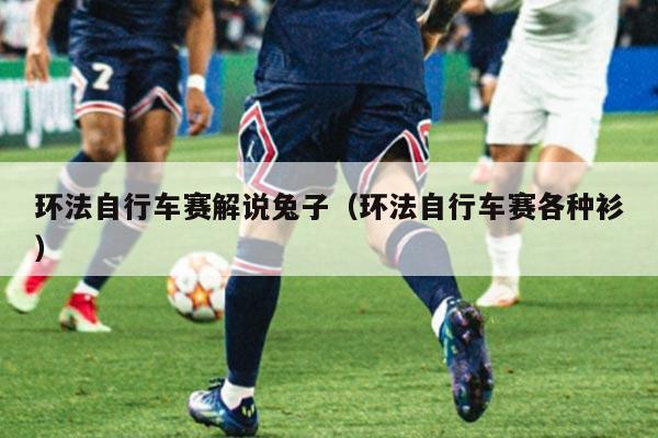 环法自行车赛解说兔子（环法自行车赛各种衫）