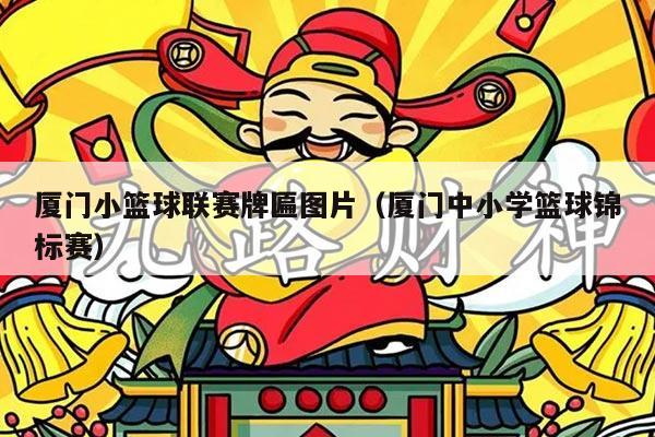 厦门小篮球联赛牌匾图片(厦门中小学篮球锦标赛)