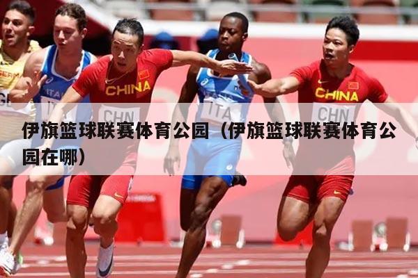 伊旗篮球联赛体育公园（伊旗篮球联赛体育公园在哪）