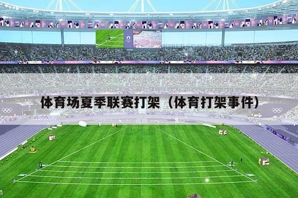 体育场夏季联赛打架(体育打架事件)