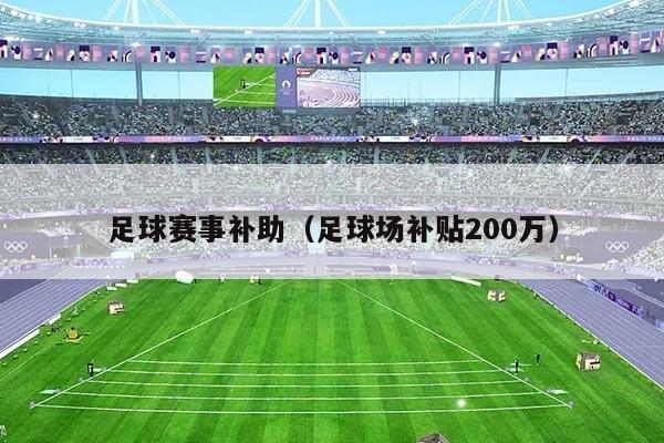足球赛事补助(足球场补贴200万)