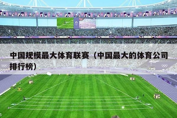 中国规模最大体育联赛(中国最大的体育公司排行榜)