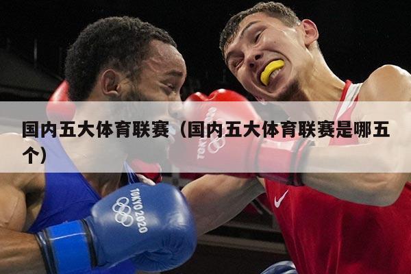 国内五大体育联赛(国内五大体育联赛是哪五个)