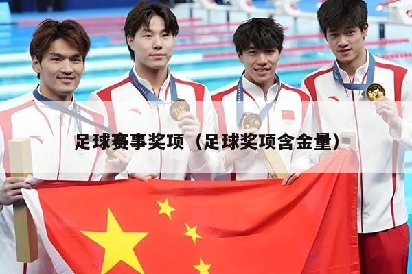 足球赛事奖项（足球奖项含金量）