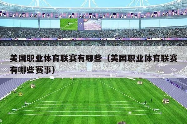 美国职业体育联赛有哪些(美国职业体育联赛有哪些赛事)