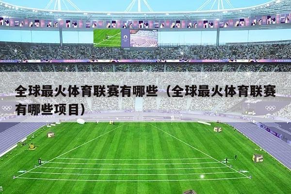 全球最火体育联赛有哪些(全球最火体育联赛有哪些项目)