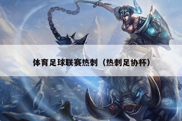 体育足球联赛热刺（热刺足协杯）