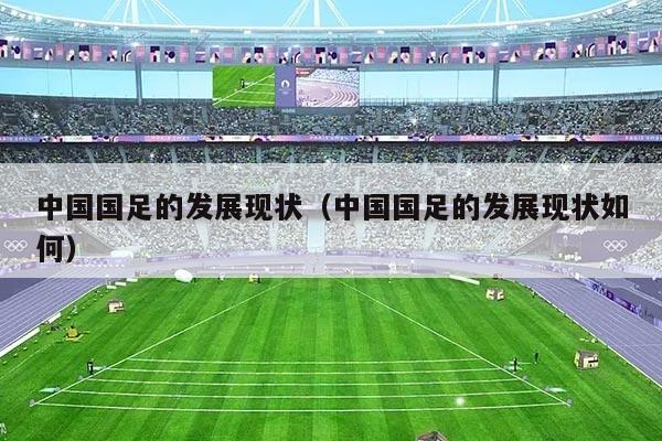 中国国足的发展现状(中国国足的发展现状如何)