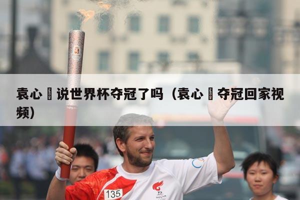 袁心玥说世界杯夺冠了吗(袁心玥夺冠回家视频)